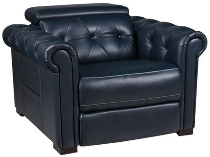 THEOREM Power Lift Recliner Dual Motor With Independent Headrest And Lumbar Support